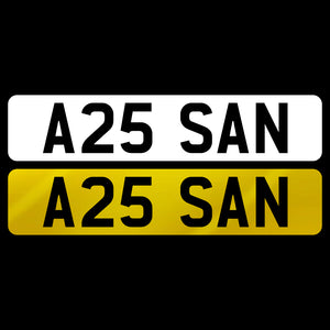 A25 SAN