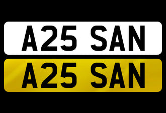 A25 SAN