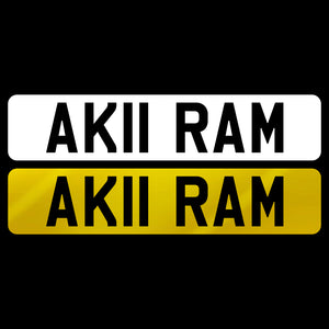 AK11 RAM