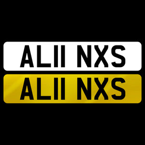 AL11 NXS
