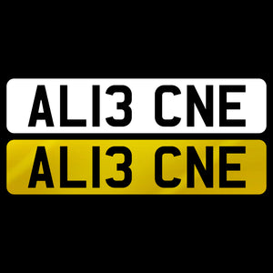 AL13 CNE