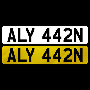 ALY 442N