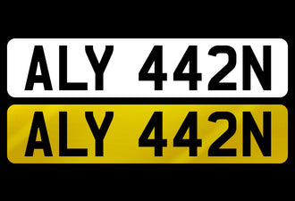 ALY 442N
