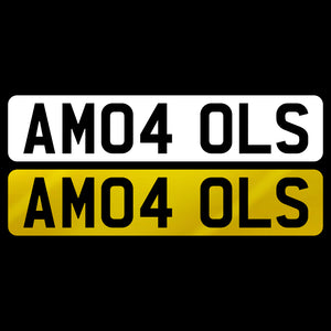 AM04 OLS