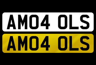 AM04 OLS
