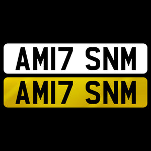 AM17 SNM