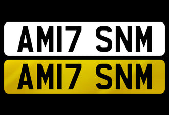AM17 SNM