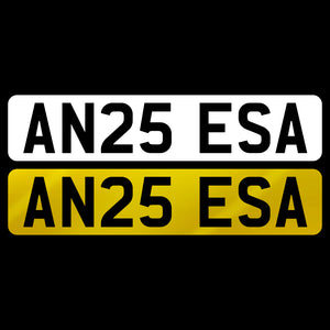 AN25 ESA