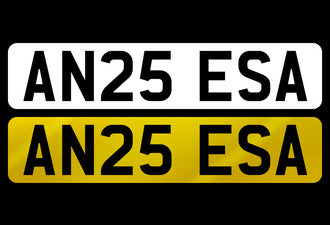 AN25 ESA
