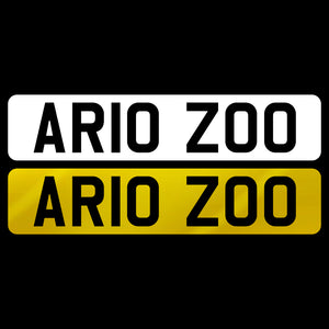AR10 ZOO