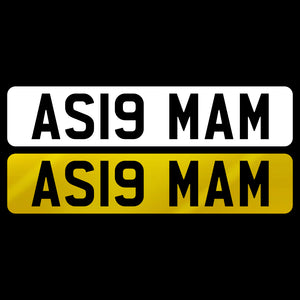 AS19 MAM