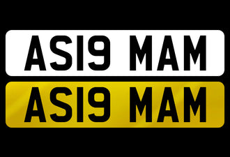 AS19 MAM