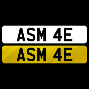 ASM 4E