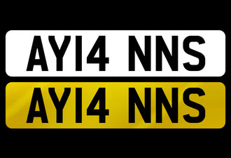 AY14 NNS