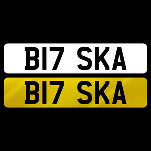 B17 SKA