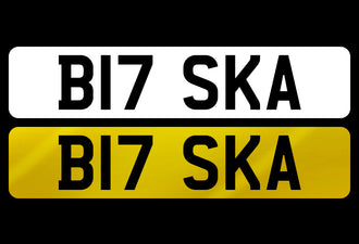 B17 SKA