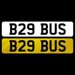 B29 BUS