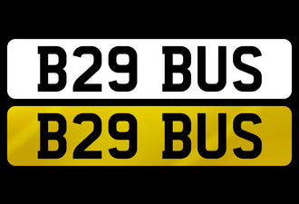 B29 BUS