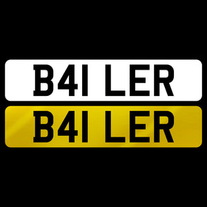B41 LER