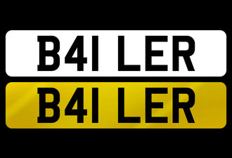 B41 LER