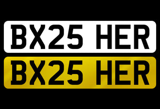 BX25 HER