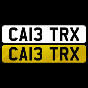 CA13 TRX