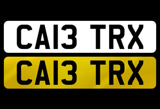 CA13 TRX
