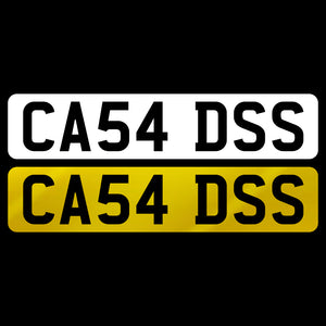 CA54 DSS