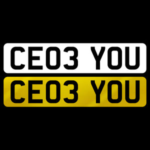 CE03 YOU