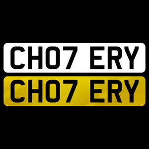 CH07 ERY