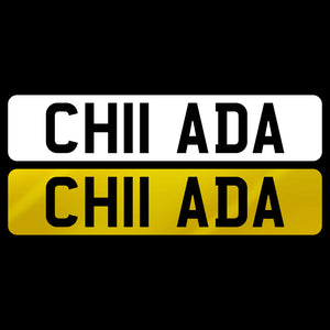 CH11 ADA