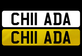 CH11 ADA