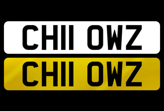 CH11 OWZ