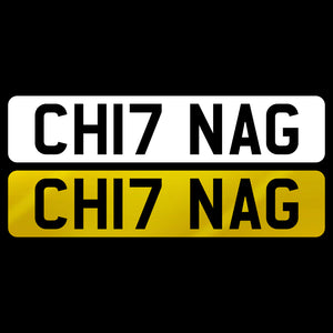 CH17 NAG