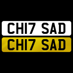 CH17 SAD
