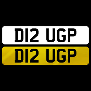 D12 UGP