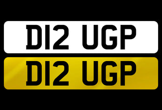 D12 UGP