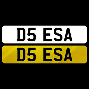 D5 ESA