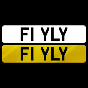 F1  YLY