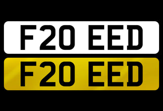 F20 EED