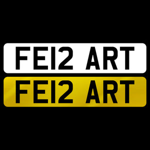 FE12 ART