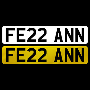 FE22 ANN