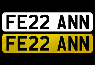 FE22 ANN