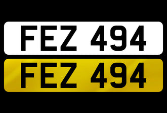 FEZ 494