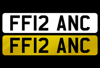 FF12 ANC