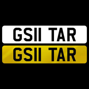 GS11 TAR