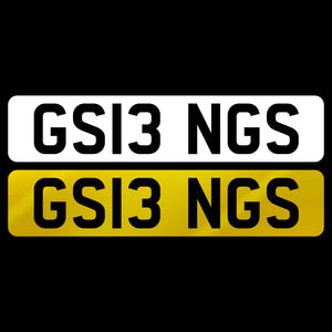 GS13 NGS