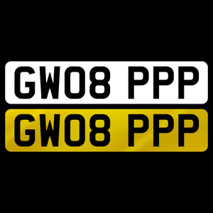 GW08 PPP