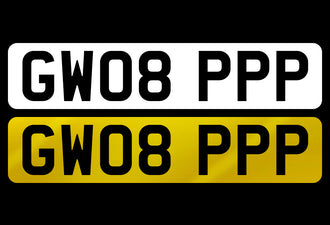 GW08 PPP