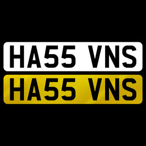HA55 VNS